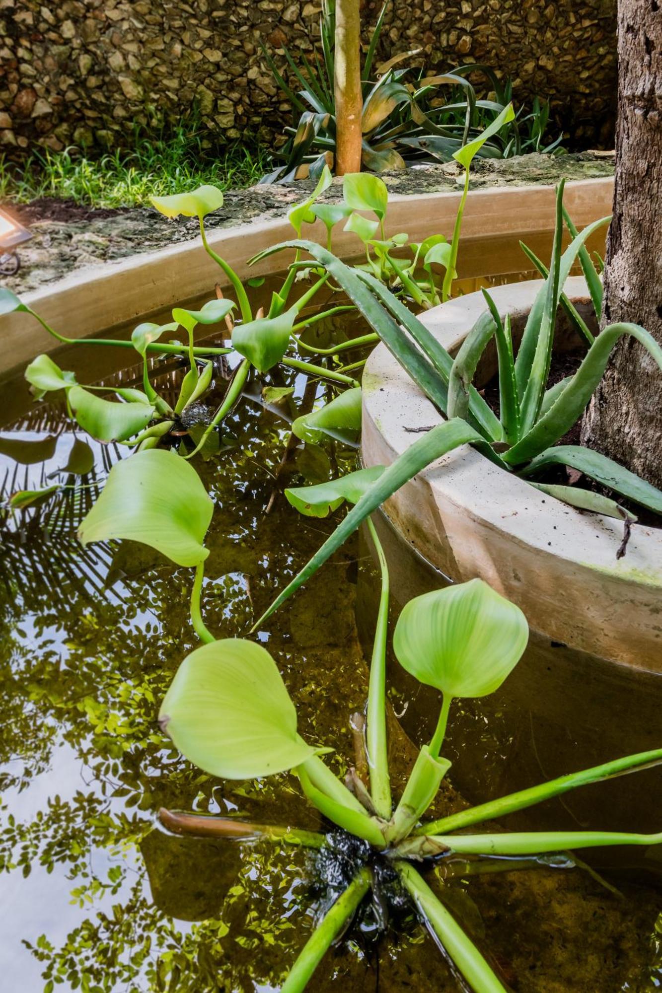 Mamacha - Natural Residence فالادوليد المظهر الخارجي الصورة